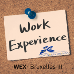 IXL Work Experience
